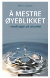 "Å mestre øyeblikket – meditasjon på sekundet", Martin Boroson (Omslag hentet fra Cappelen Damm.)